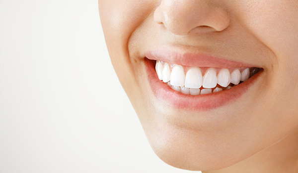 person in a medical coat holding a small dental model with a tooth shape representing the number of teeth including 11 key dental insights