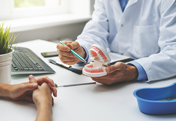 dentist demonstrating dental model while patient listens oral health care tips and three key practices