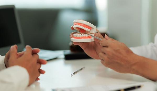 dental model being demonstrated during patient consultation showing dental health education and 7 key points for oral care