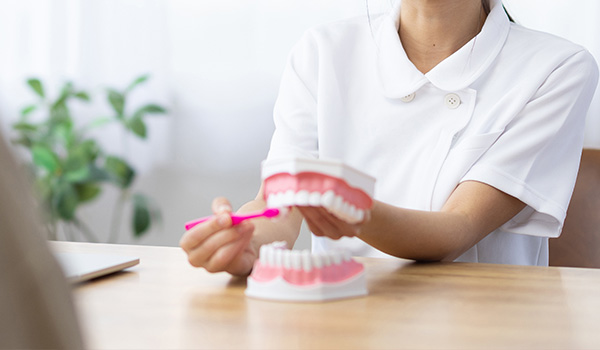 dental professional demonstrating proper brushing techniques using a dental model emphasizing five steps for effective oral hygiene